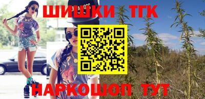 тгк Можга
