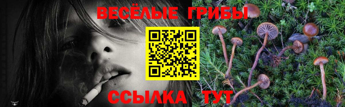 Канабис Ярославль